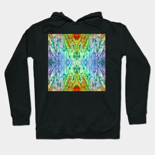 Mirrored Abstract in Green Blue Orange Lavender Hoodie